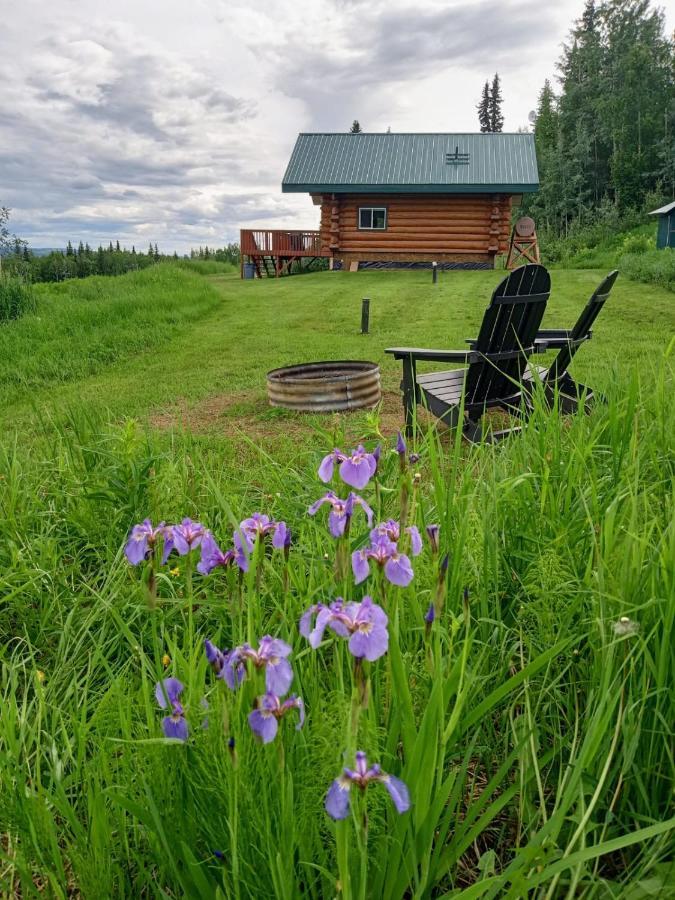Secluded Log Cabin, 30 Min From Chena Hot Springs Pleasant Valley Dış mekan fotoğraf